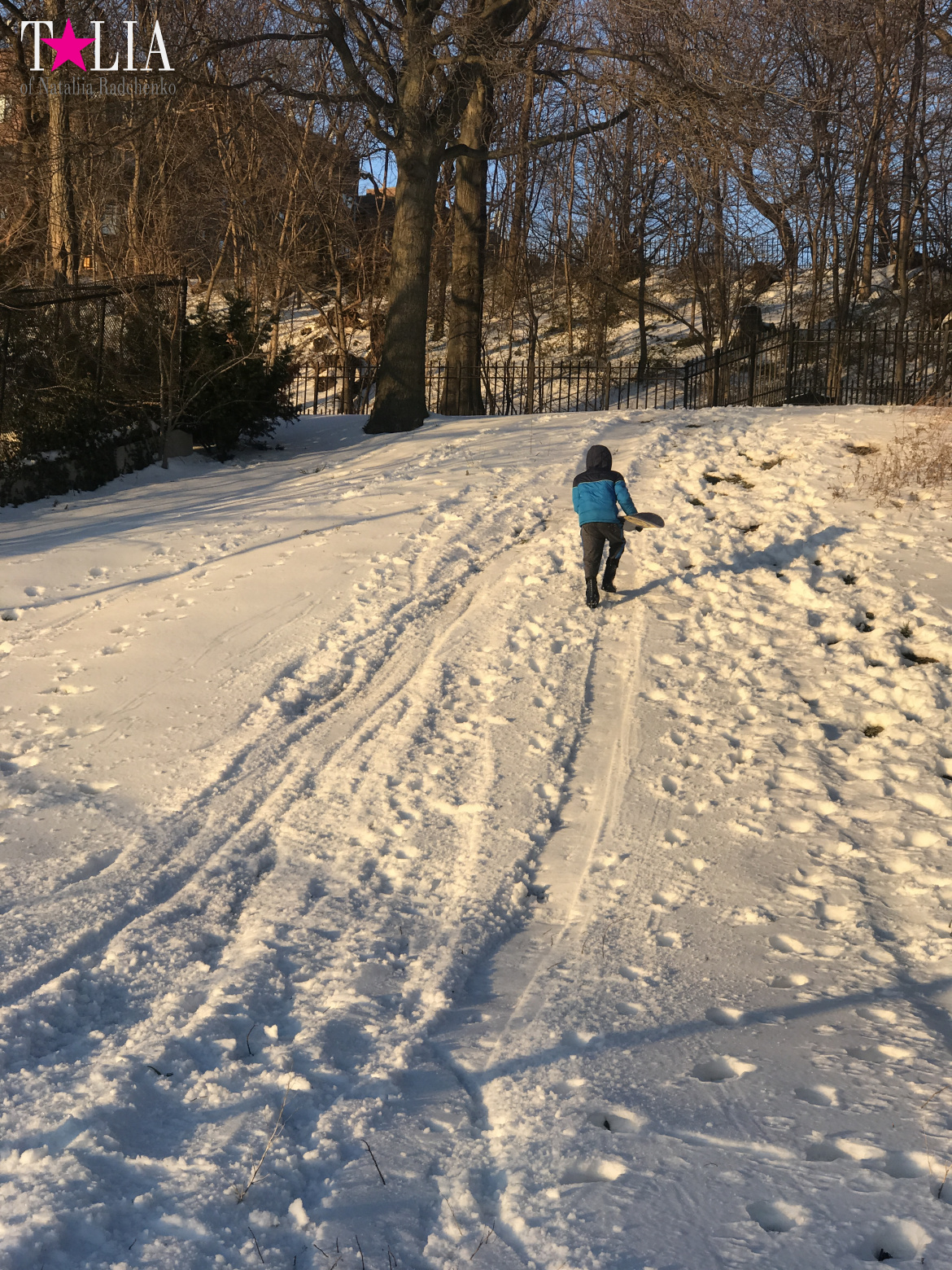 Snow in New York is a great rarity and great joy